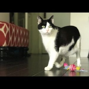 Meet your Posher, Jennifer